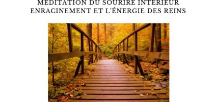 Vignette élément